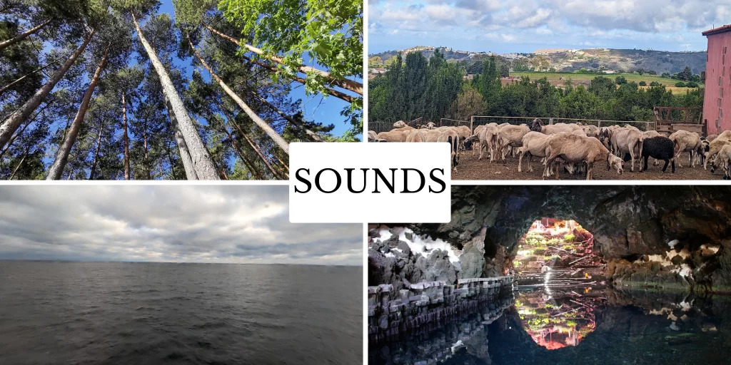 Sounds will make your trip unforgettable. Capture them during your journey
