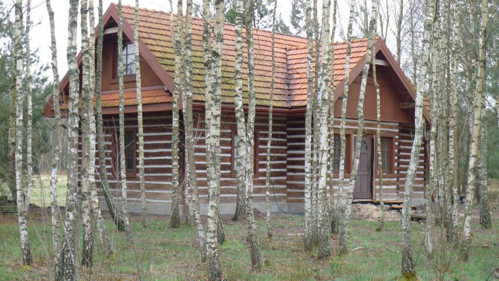 The beauty of trees lies in their majestic forms and lush canopies that change with the seasons, creating a picturesque landscape.