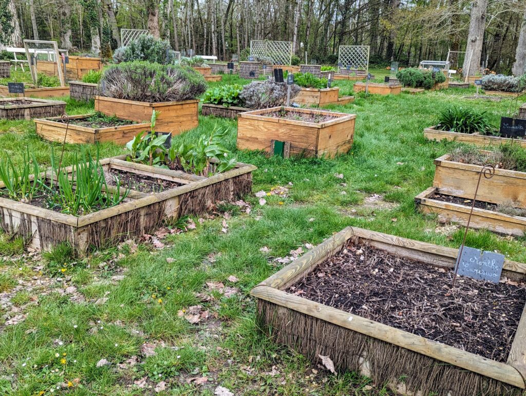 Become mindful not mindless. Check famous quotes about smell.